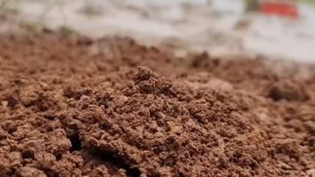 #农村生活 #逮鱼摸虾 #真实户外 #田园生活乐趣多 #抓鱼