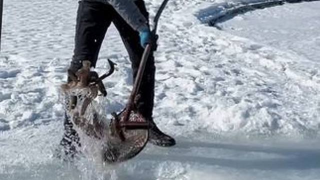 #户外捕鱼 #好多鱼