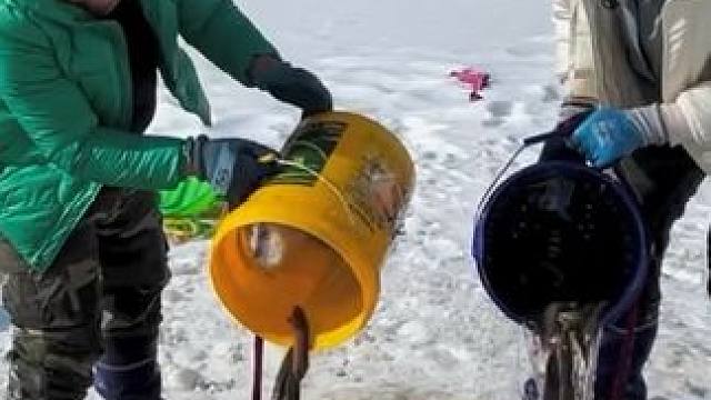 #户外捕鱼 #好多鱼