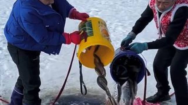 #户外捕鱼 #好多鱼