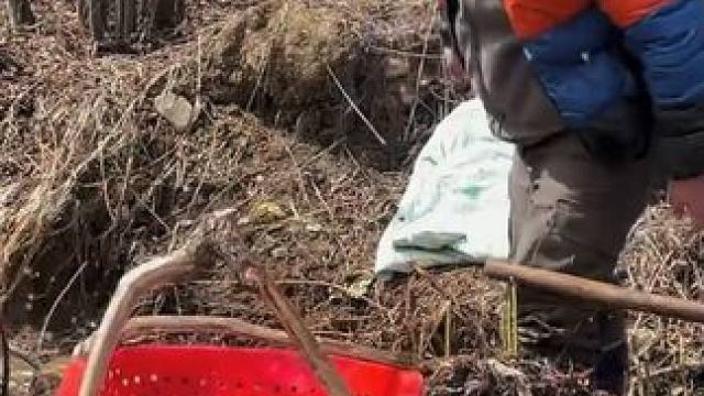 #户外捕鱼 #好多鱼