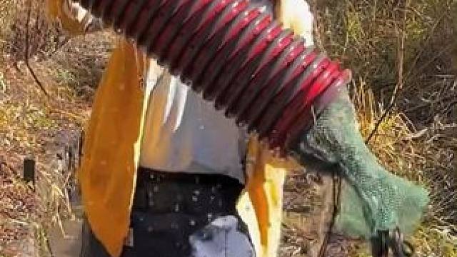 #户外捕鱼 #好多鱼