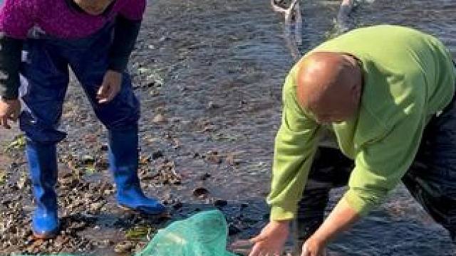 #户外捕鱼 #好多鱼