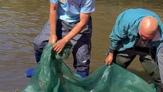 #户外捕鱼 #好多鱼