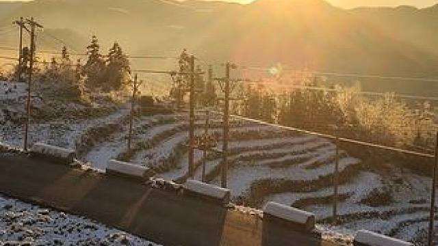 属于冬天的浪漫，雪后的第一缕阳光我想把它分享你 #带你看雪景  #早晨第一缕阳光