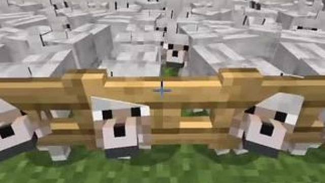 #我的世界 #Minecraft