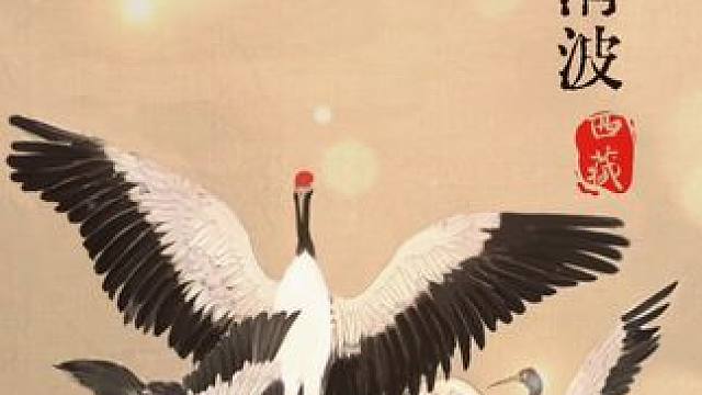 看！黑颈鹤犹如优雅舞者，振翅轻旋，嘻戏间满是自然赋予的生机和诗意！#黑颈鹤 #西藏 #神奇动物 #工