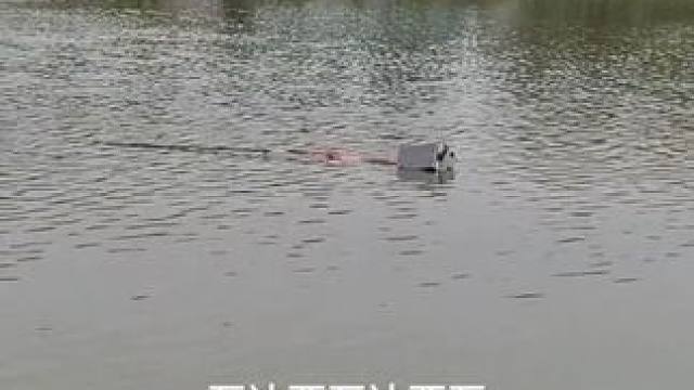 钓鱼我一般上厕所都压好几块砖头#钓鱼 #钓青鱼 #钓鱼人 #黑坑青鱼