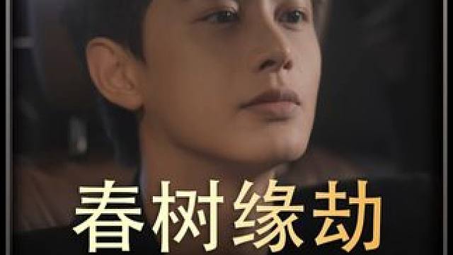 《春树缘劫》全集y #百亿好剧好看计划 #新剧来袭 #热播剧 #精选好剧