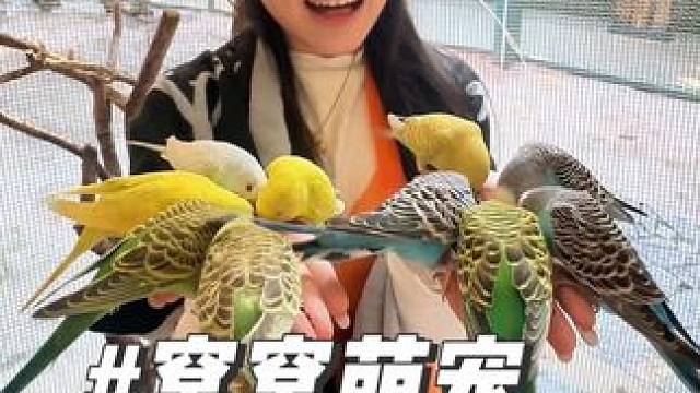 这不是一般的动物园！
是可以0距离贴贴的动物园！#窝窝萌宠森森友会#春节不打烊#深圳 #小动物 #1