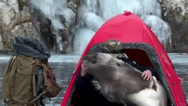 不冷 #露营报告