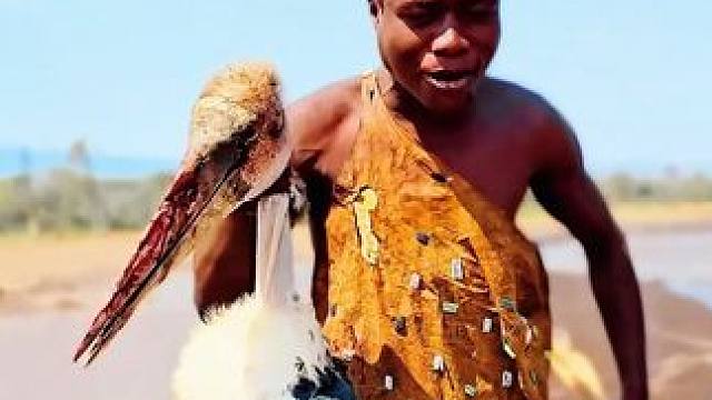 哈扎比部落，捕获到一只外星怪鸟！ #原始部落 #哈扎比部落 #内容启发搜索