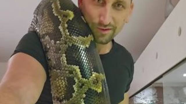 国外小伙的宠物巨蟒 #国外视频分享 #奇妙的动物 #宠物