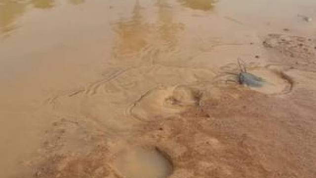 #农村生活 #逮鱼摸虾 #户外抓鱼 #玩泥巴的最高境界 #抓鱼