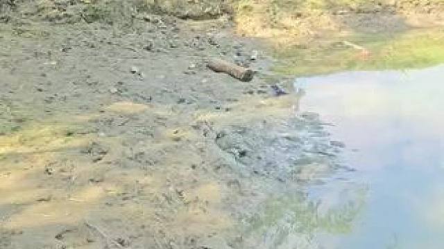 秒变泥人#农村生活 #农村趣事 #农村生活欢乐多