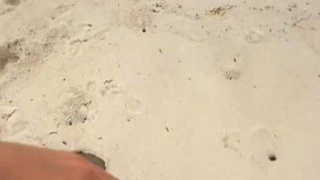 你以为是一支钢笔，其实是。 #男人简单的快乐 #玩个很新的东西