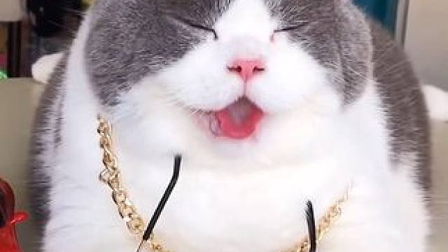 快过年了，在家给儿子烫了个头，烫完真是嘎嘎帅，简单容易上手，姐妹们，快给家里的宝贝安排起来！#烫头发