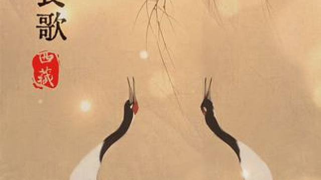 于高原湿地，黑颈鹤与伴侣交颈依偎。它们的爱，历经寒暑，在长鸣与共舞中，永恒绵延#黑颈鹤#爱情#西藏#