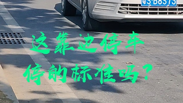 这靠边停车标准吗？