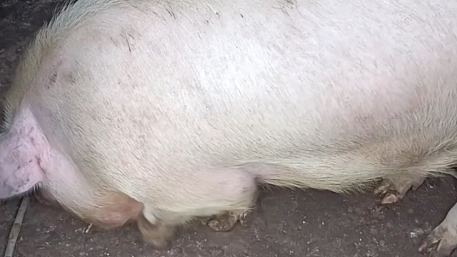 居然跑出来了，天啊