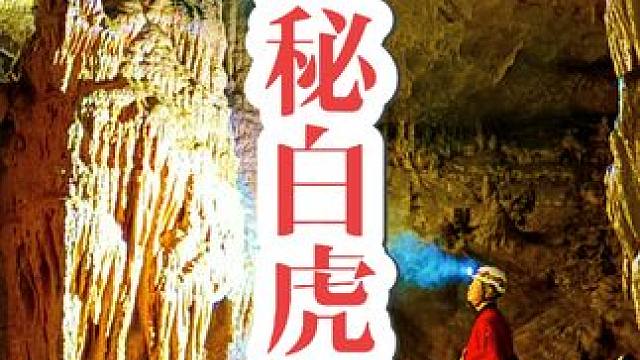 胆大小伙，进入曾经吞没四人的洞穴，解密为何会被困四十多天！#现场实拍 #户外 #极限运动 #专业人员