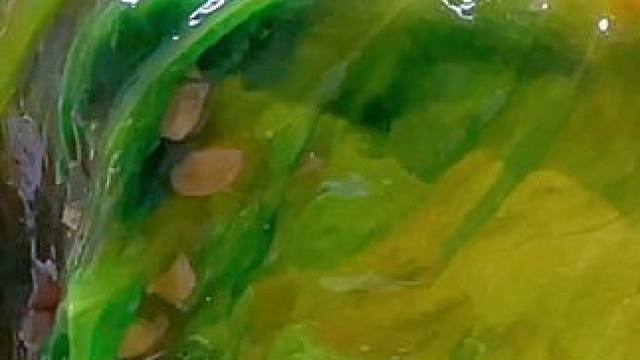 逢年过节的餐桌上一定少不了这道蚝油生菜 