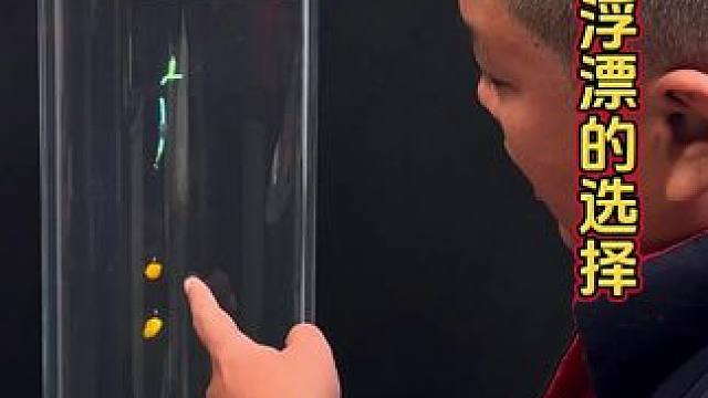 小凤仙轻口鲫鱼漂 冬季钓鲫鱼，鱼口轻，你的浮漂选对了吗？#浮漂鱼漂 #新手怎么选浮漂 #钓鲫鱼 #鲫