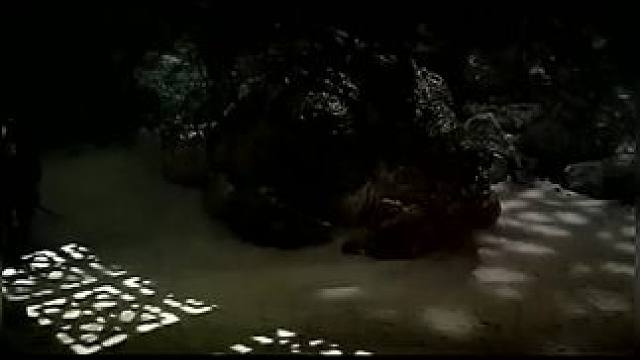 《西瓜视频》，观看精彩后续《西瓜视频》，观看精彩后续《西瓜视频》，观看精彩后续《西瓜视频》，观看精