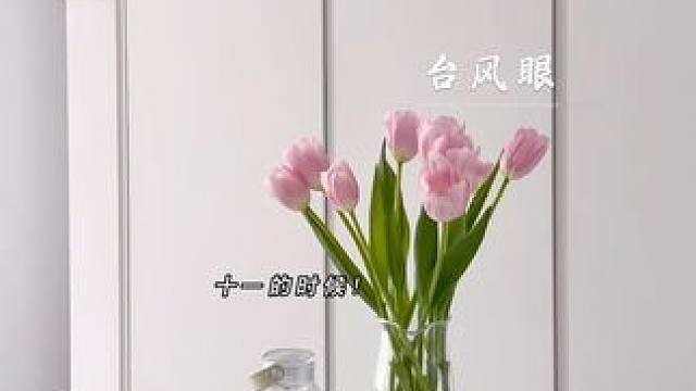 叶子，大家都默认你躺平啊哈哈哈哈 #台风眼 #配音 #有声剧 #小说