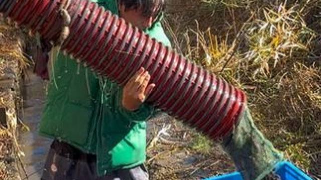 #户外捕鱼 #好多鱼