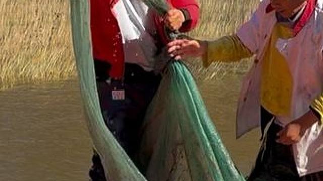 #户外捕鱼 #好多鱼