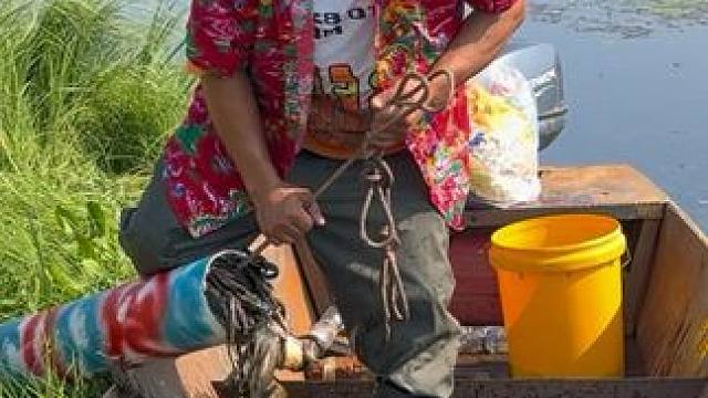 #户外捕鱼 #好多鱼