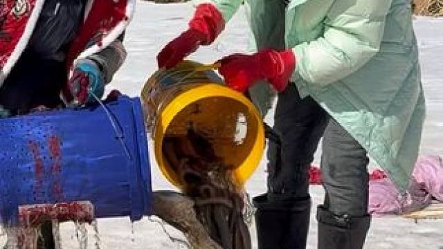 #户外捕鱼 #好多鱼