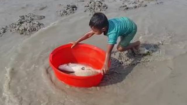 #抓鱼#农村孩子的乐趣