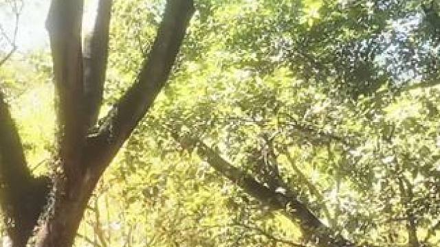 不知道剪了个啥 反正就是剪了#乱剪