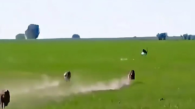 事实证明，两驱的永远干不过四驱的[捂脸]