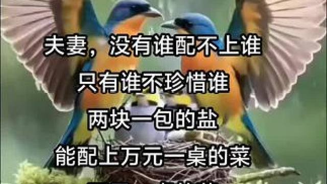 何为夫妻 #心灵心语  #愿每个人都被温柔以待 #真诚待人