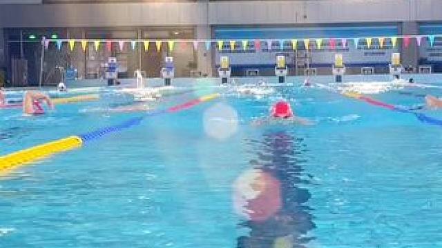 蝶泳学起来
#泳池拍摄 #日常锻炼记录 #晨练随拍 #晨泳