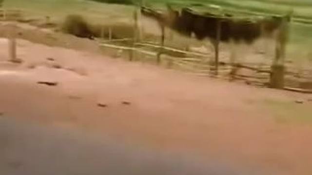 我发布了一个新视频，快来围观吧！