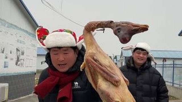 我发布了一个新视频，快来围观吧！