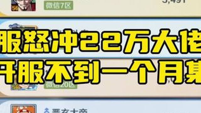 与开服怒冲22万大佬畅谈为什么开服不到一个月全服集体养老#航海王壮志雄心 #航海王壮志雄心创作者团 