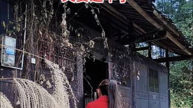 过年了，说不出的心痛，双亲亡，归途茫，再无慈母门前盼，无人叮嘱添衣裳，思难忘，泪千行，世上再无爹和娘