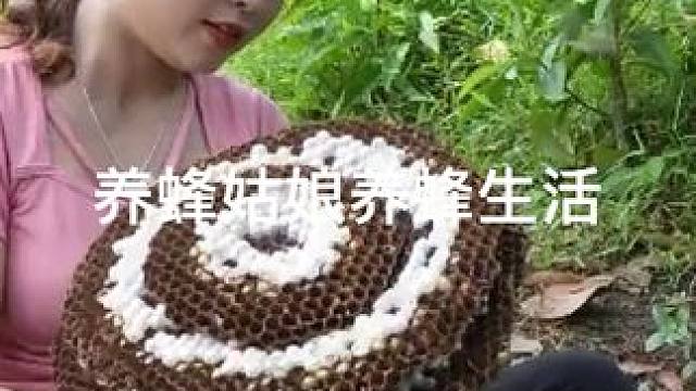 #我的乡村生活 #荒野建造 #农村生活 #三农 #上热门