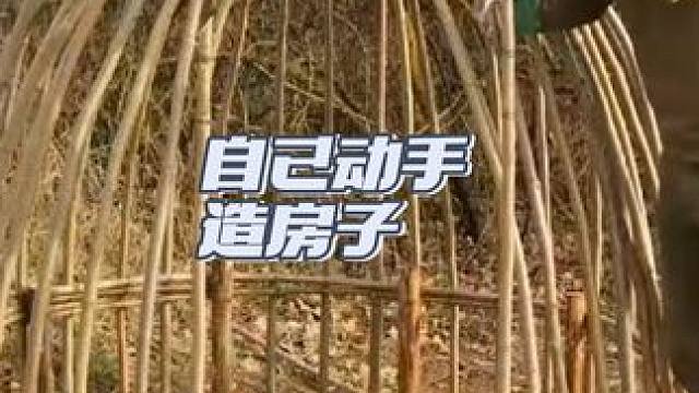 #我的乡村生活 #荒野建造 #农村生活 #三农 #木屋搭建