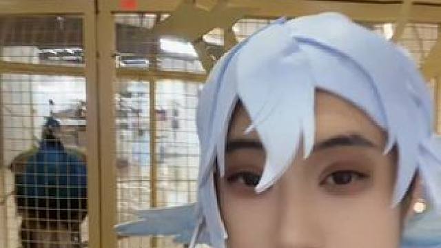 星期日这假发真把我笑拉了 #二次元 #崩坏星穹铁道  #在第八日启程 #cosplay #星期日