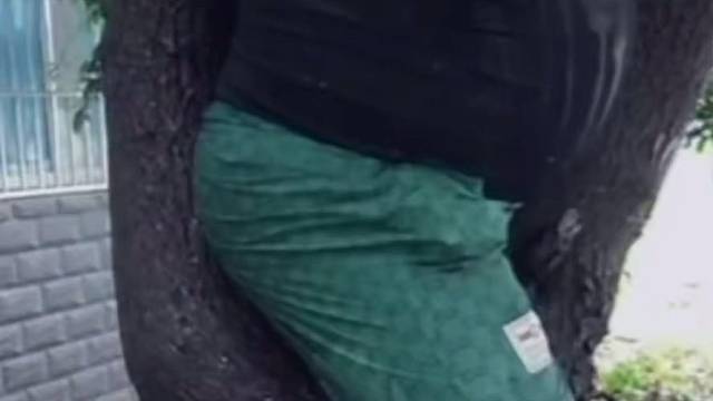 金猪直播就是生命