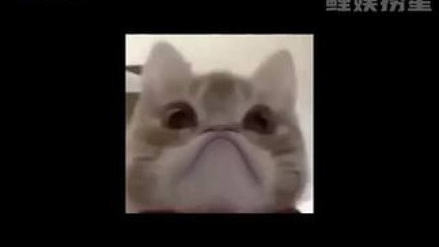 奶茶好不好喝我一眼就知道#情侣#万万没想到