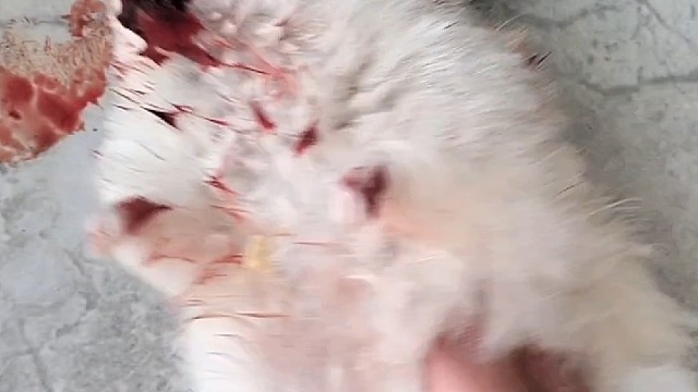 我发布了一个新视频，快来围观吧！