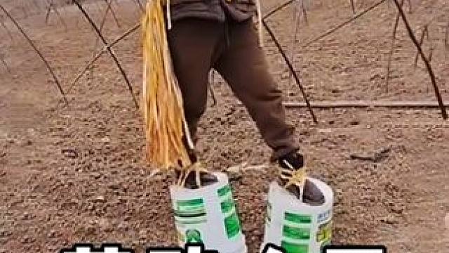 #劳动人民的智慧 #三农 #生活小妙招 #实用小技巧