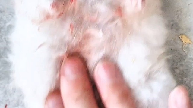 我发布了一个新视频，快来围观吧！